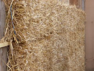 Auto-construction ossature bois et bottes de paille